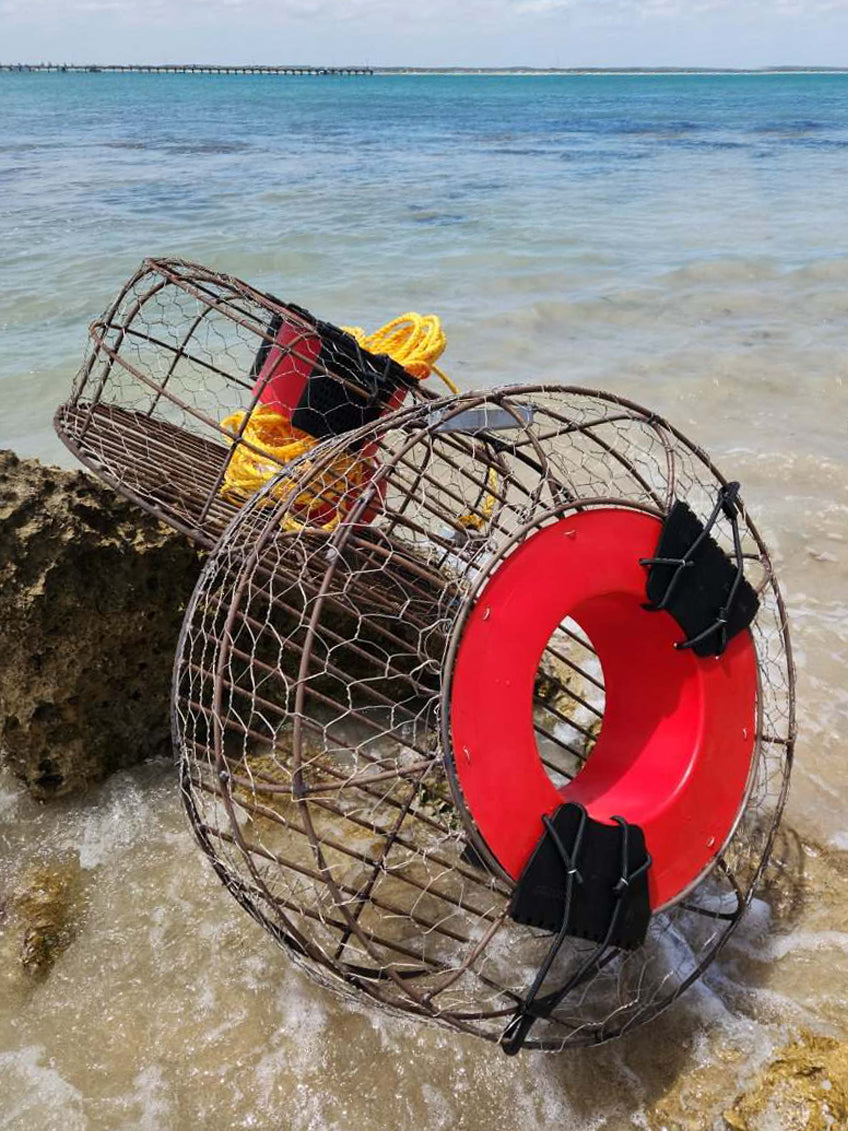 HiFry Bait Basket
