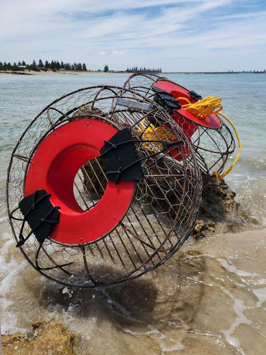 HiFry Bait Basket